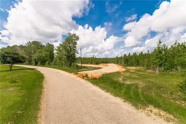 2 436th Highway Angie, LA 70426 - Photo 18 of 19