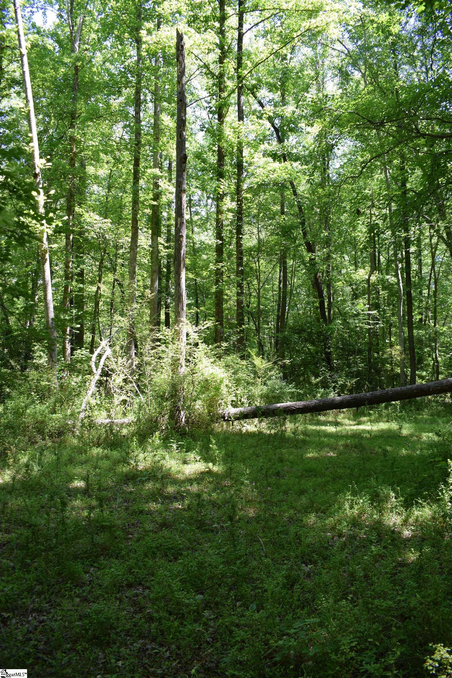 Floyd Blackwell Road Tryon, NC 28782 - Photo 17 of 27