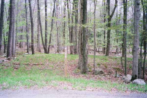 4303 Clover Road Long Pond, PA 18334 - Photo 1 of 6 a view of a yard with a trees