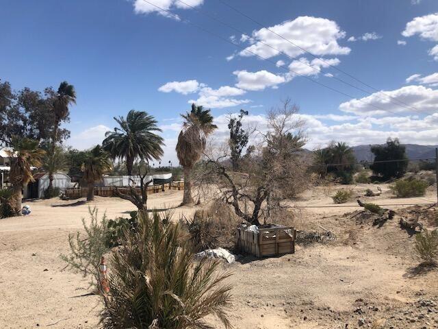 25650 Kaiser Road Desert Center, CA 92239 - Photo 36 of 44 a view of a yard with a tree