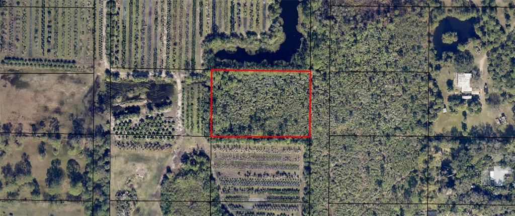 Hazel Lane Malabar, FL 32950 - Photo 3 of 5