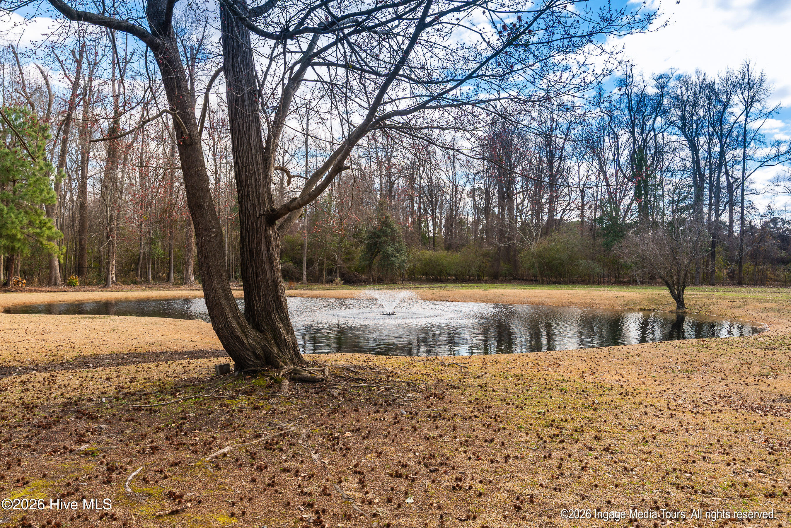 1775 Thomas Langston Road Winterville, NC 28590 - Photo 89 of 118 20260223 MLS L_Stancill 1775 Thomas Lang