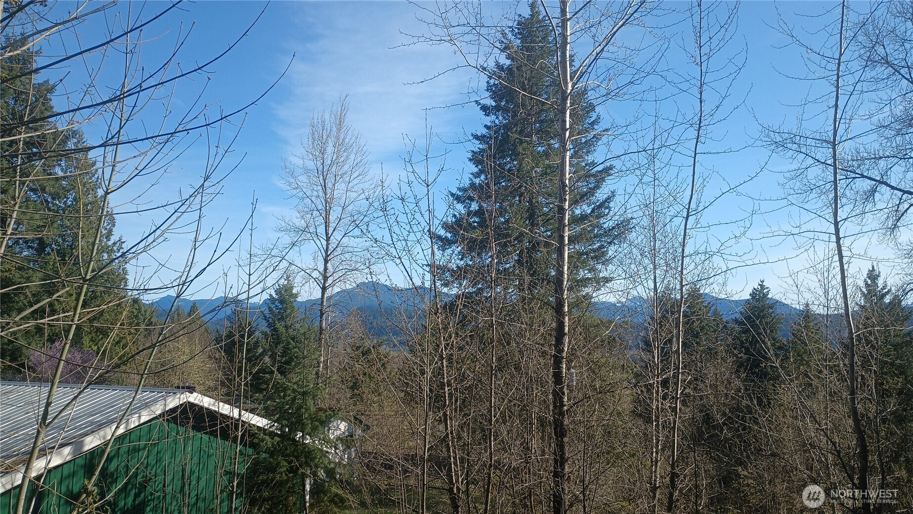 175 Boyd Road Randle, WA 98377 - Photo 11 of 16 a backyard of a house