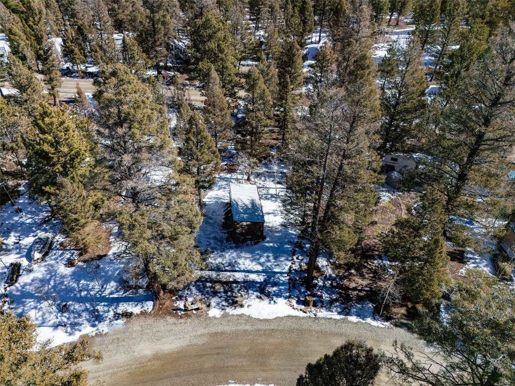 56 Tie Way Fairplay, CO 80440 - Photo 21 of 32