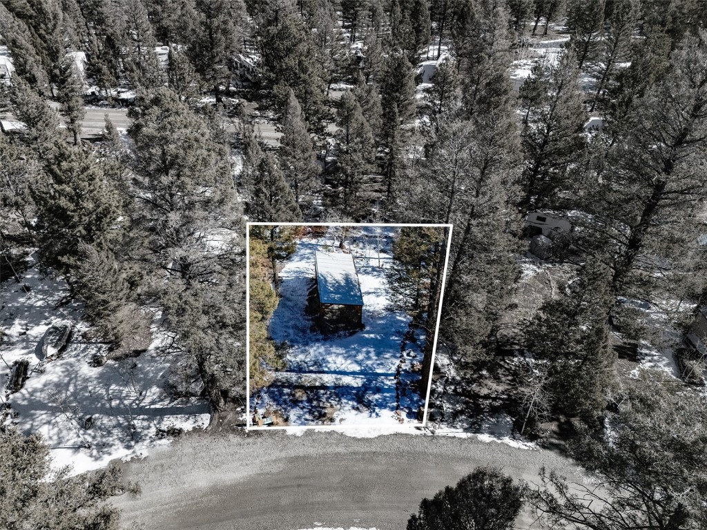 56 Tie Way Fairplay, CO 80440 - Photo 22 of 32