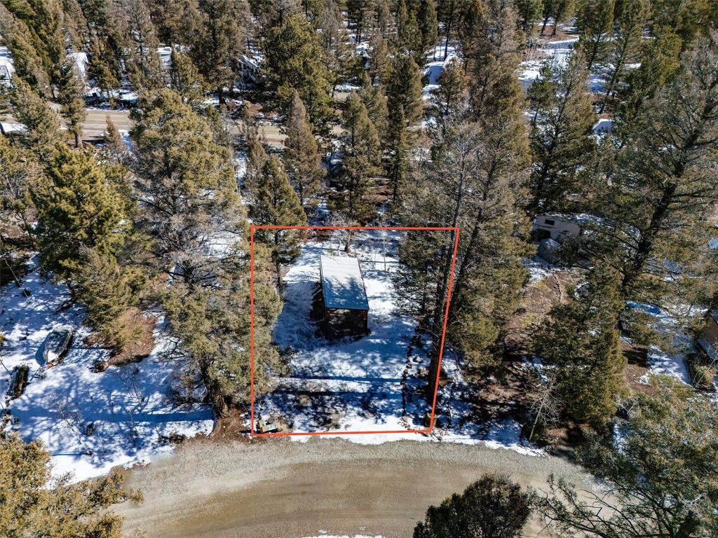 56 Tie Way Fairplay, CO 80440 - Photo 29 of 32