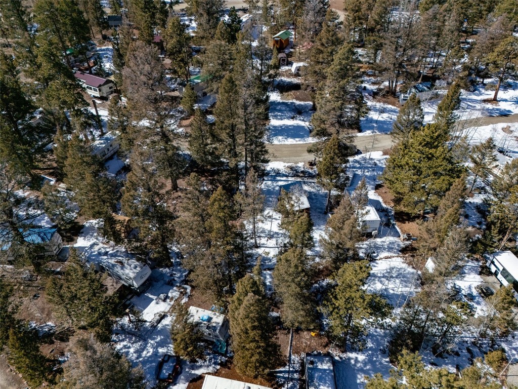 56 Tie Way Fairplay, CO 80440 - Photo 5 of 32