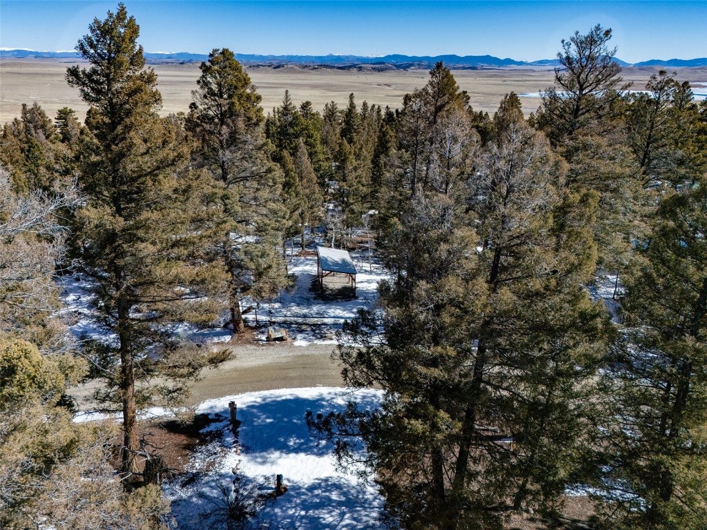 56 Tie Way Fairplay, CO 80440 - Photo 6 of 32