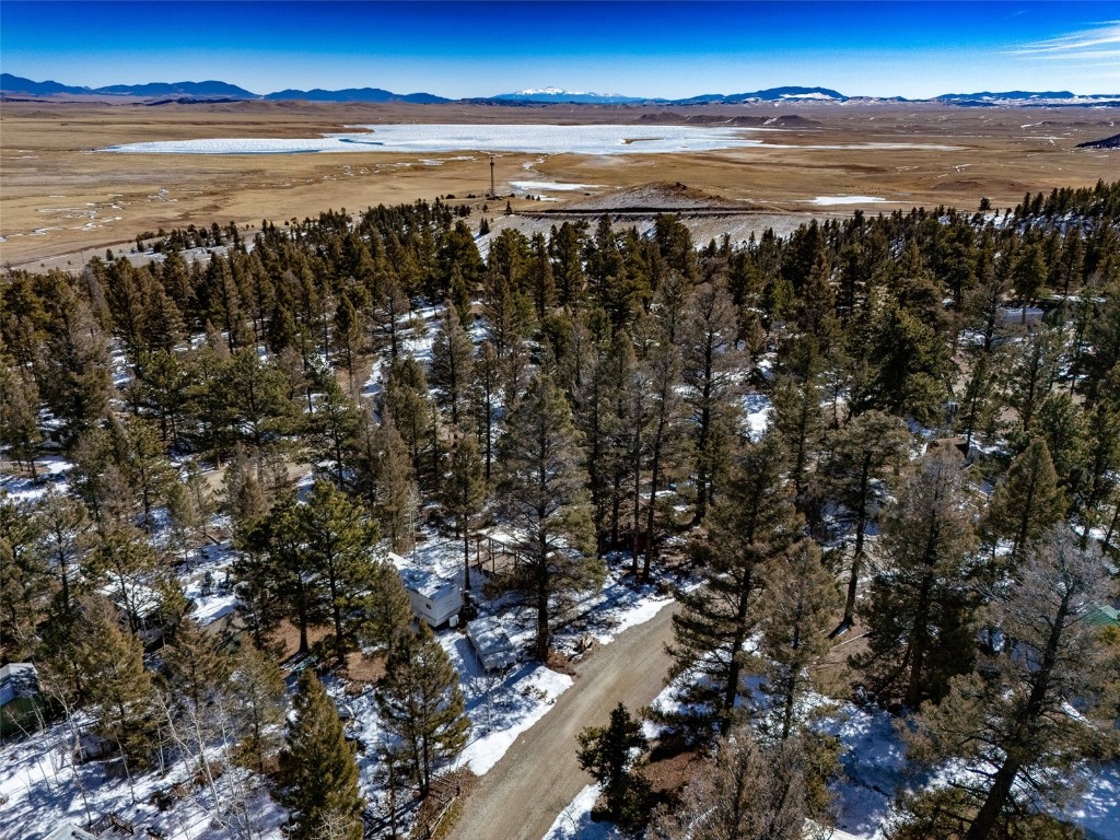 56 Tie Way Fairplay, CO 80440 - Photo 7 of 32