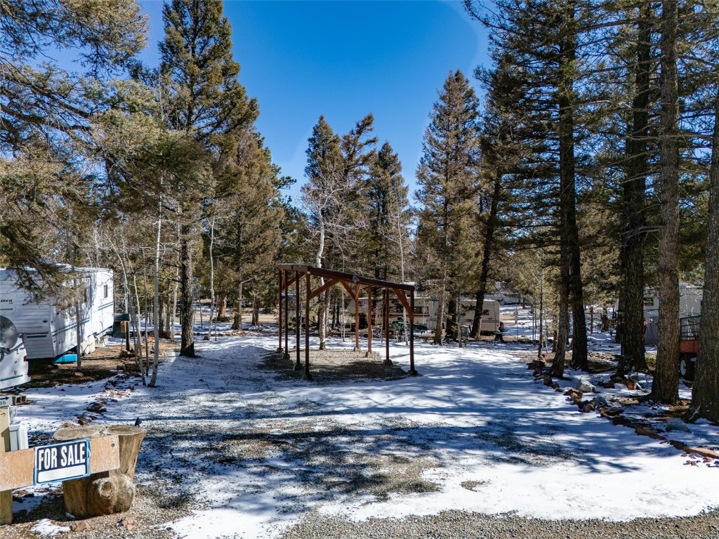 56 Tie Way Fairplay, CO 80440 - Photo 8 of 32