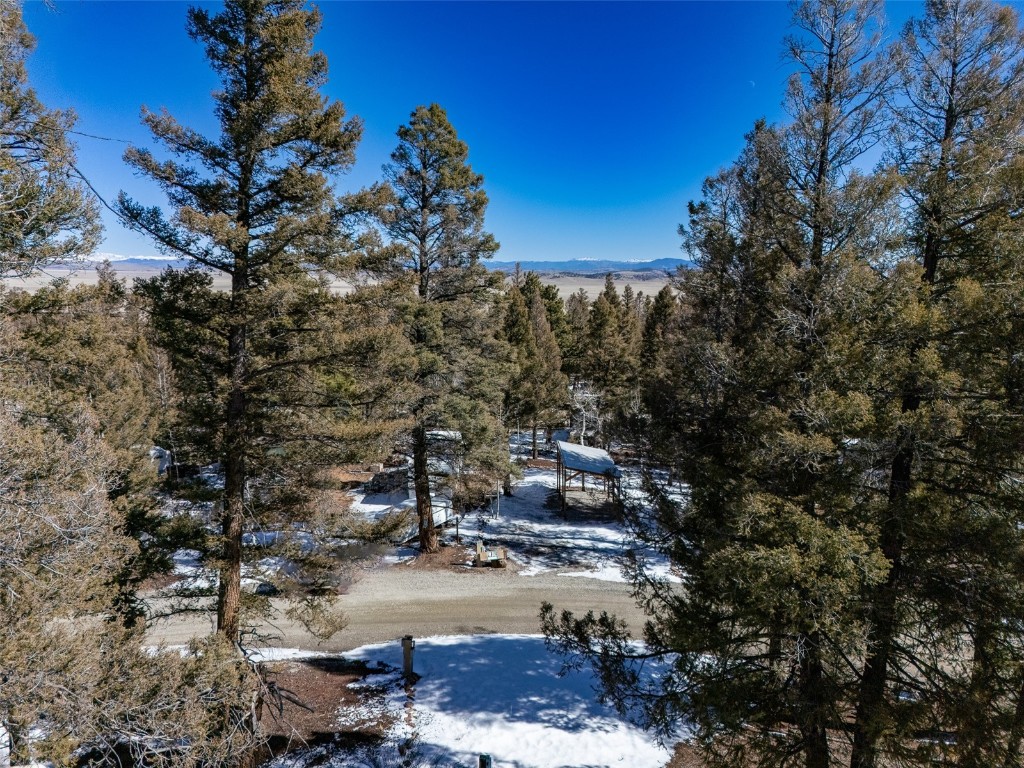 56 Tie Way Fairplay, CO 80440 - Photo 9 of 32