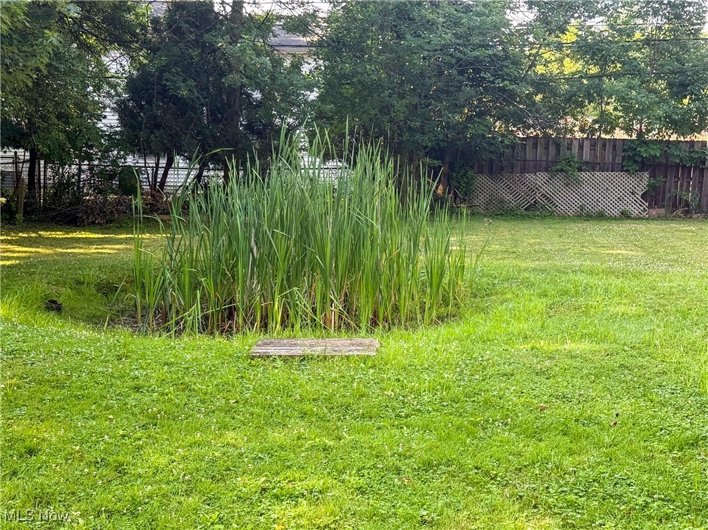 4672 Liberty Road South Euclid, OH 44121 - Photo 21 of 23 View of yard