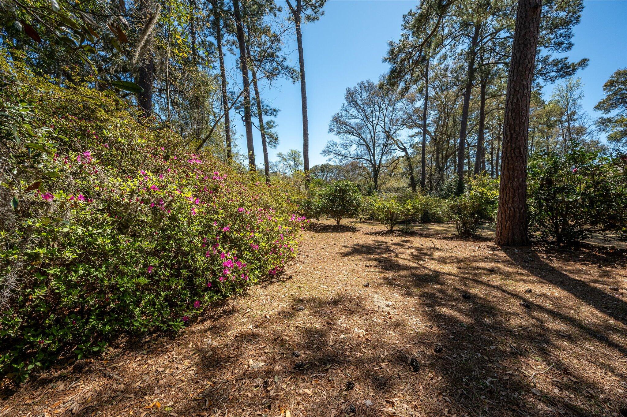 2104 River Road Johns Island, SC 29455 - Photo 28 of 34 28-2104 River Rd_Lowcountry_Exposure-5