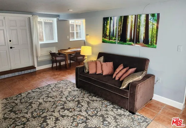 a living room with furniture and a potted plant