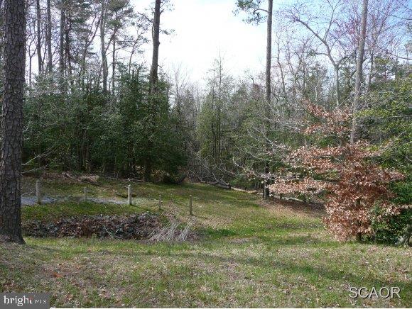 218 Ridge Road, Unit LOT 16 Milton, DE 19968 - Photo 1 of 8