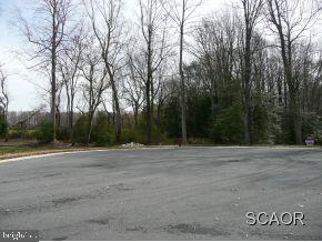 218 Ridge Road, Unit LOT 16 Milton, DE 19968 - Photo 7 of 8