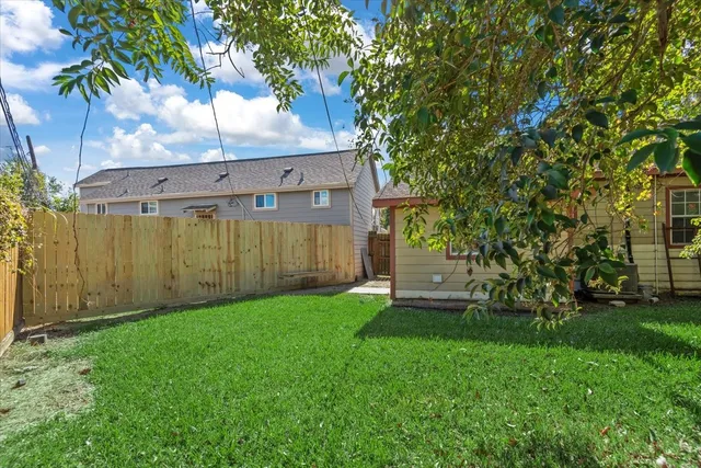 a view of a backyard with a tree