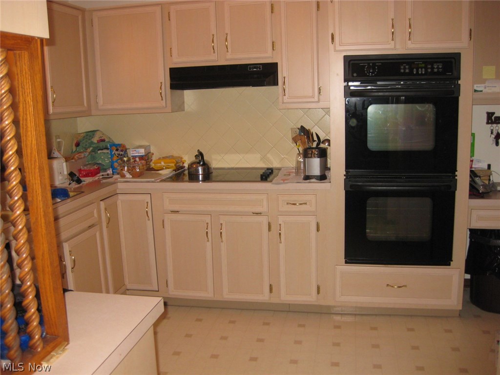 7795 Hartman Road Wadsworth, OH 44281 - Photo 3 of 16