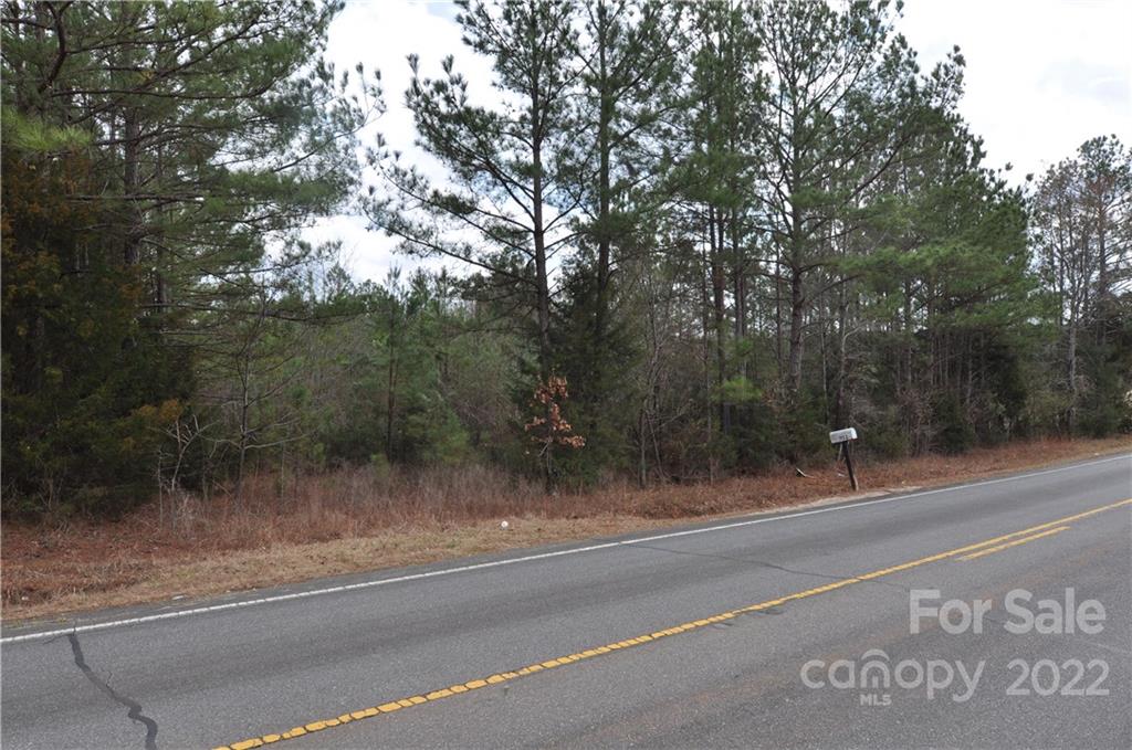 0 Pleasant Grove Road Chester, SC 29706 - Photo 1 of 1 Gallery Image 1