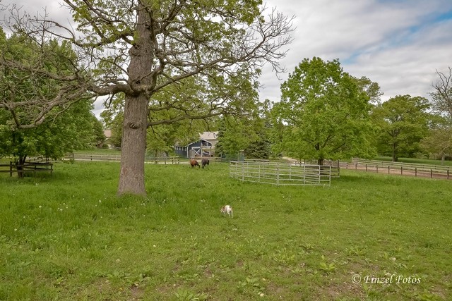3S559 Norris Road Sugar Grove, IL 60554 - Photo 24 of 30 a view of field with trees