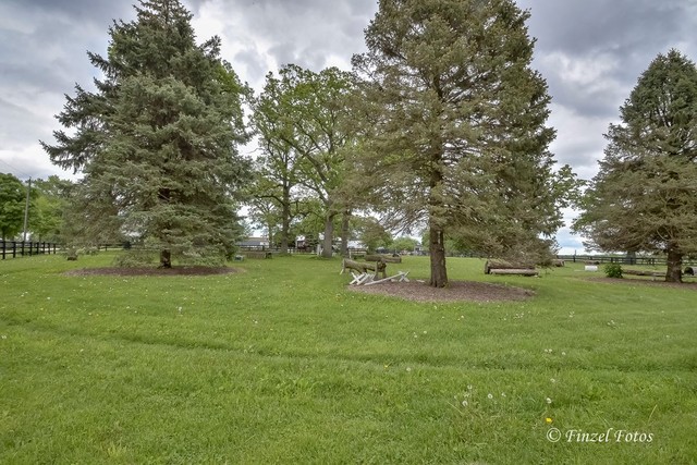 3S559 Norris Road Sugar Grove, IL 60554 - Photo 25 of 30 a view of a trees with a yard