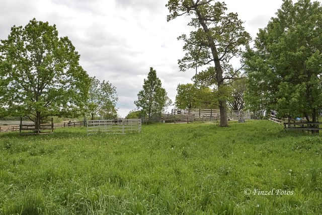 3S559 Norris Road Sugar Grove, IL 60554 - Photo 26 of 30 a view of field with trees in the background