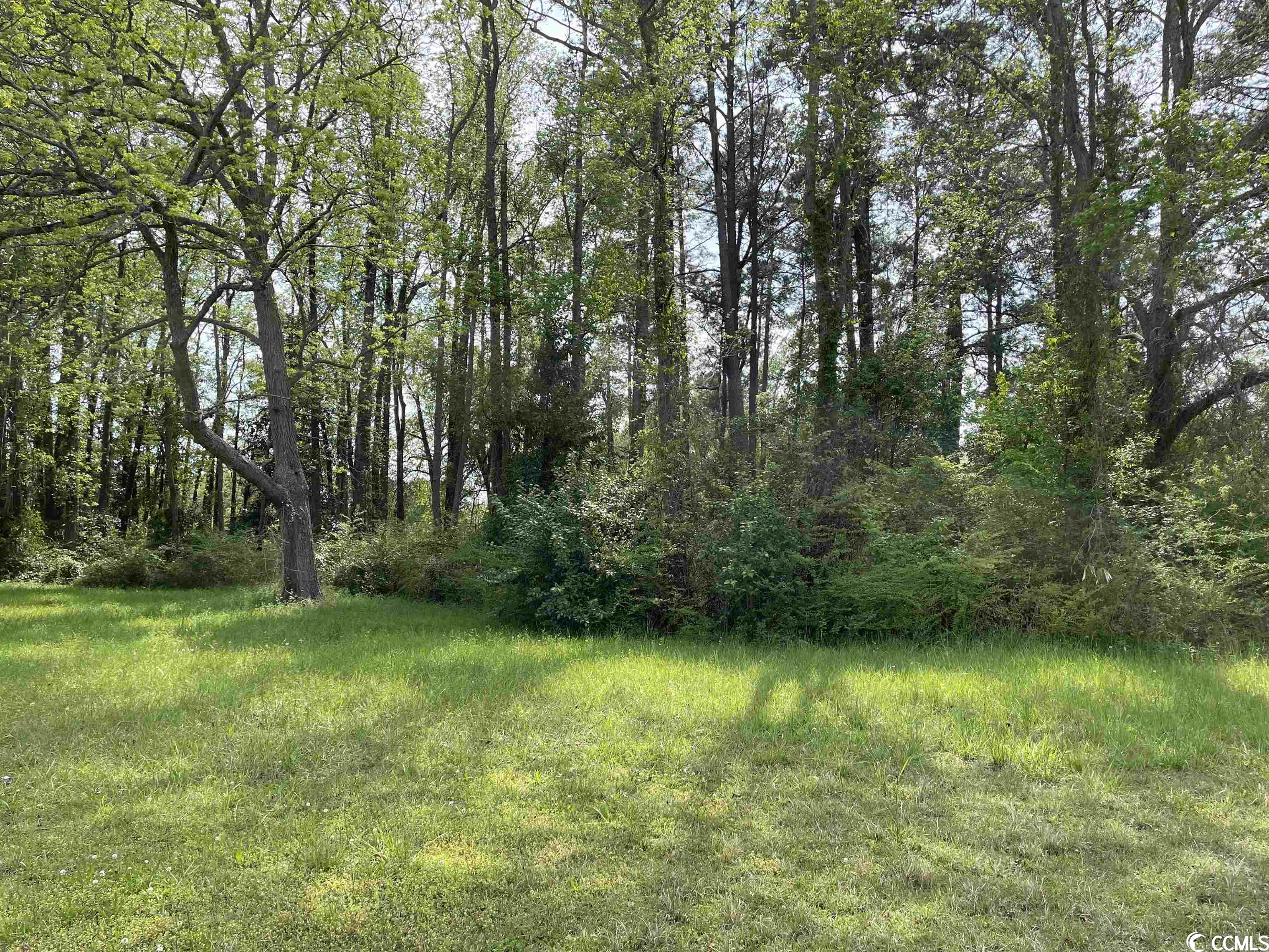 Tbd Casey Street Loris, SC 29569 - Photo 1 of 3 Gallery Image 1
