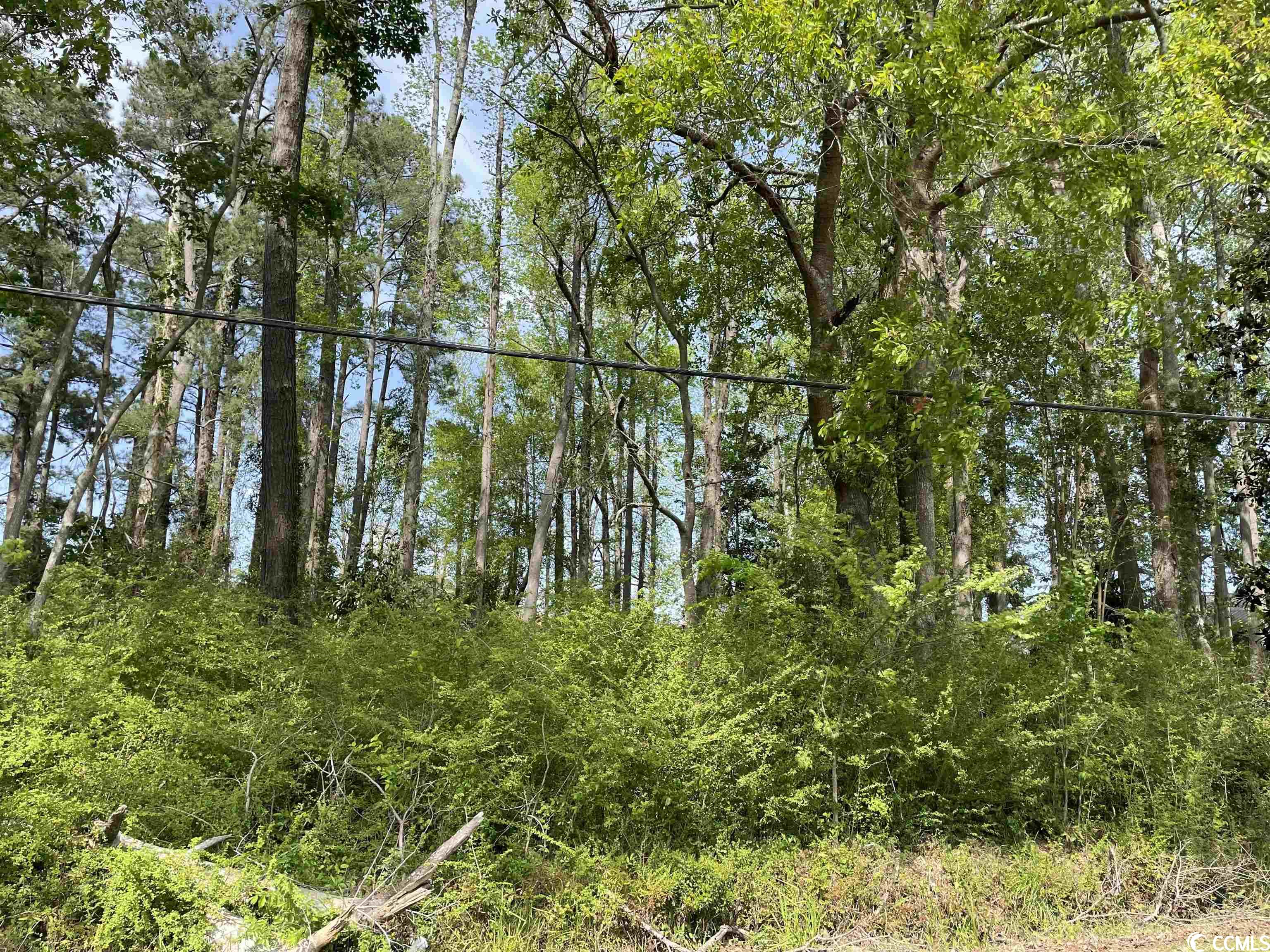 Tbd Casey Street Loris, SC 29569 - Photo 2 of 3 Gallery Image 2