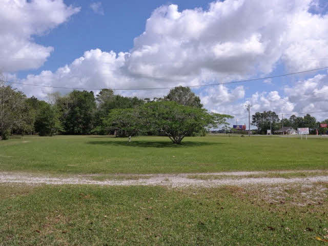 3610 Highway 59 Foley, AL 36535 - Photo 7 of 8