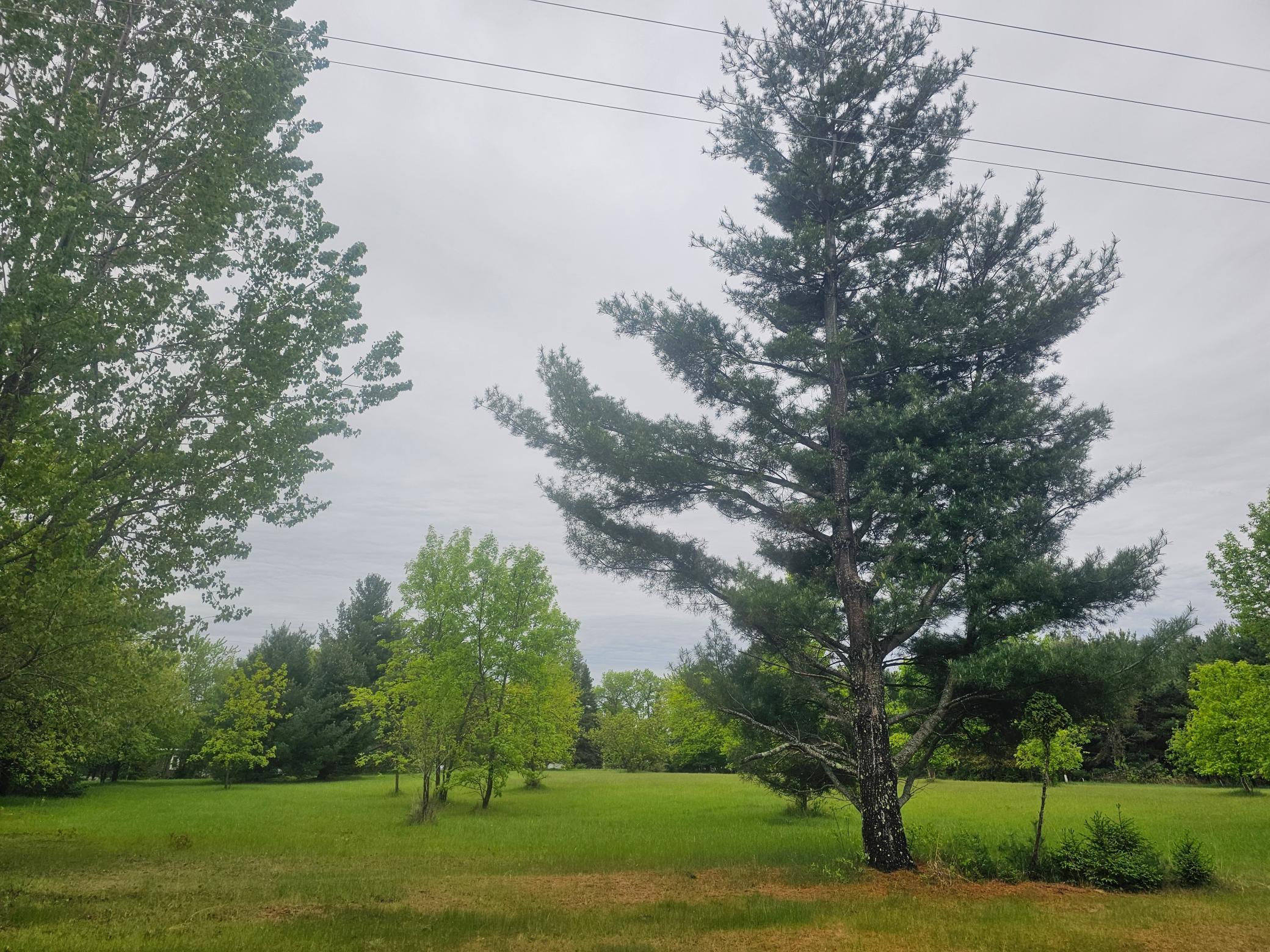 Lot A Gables Road Webster, WI 54893 - Photo 1 of 1 Gallery Image 1