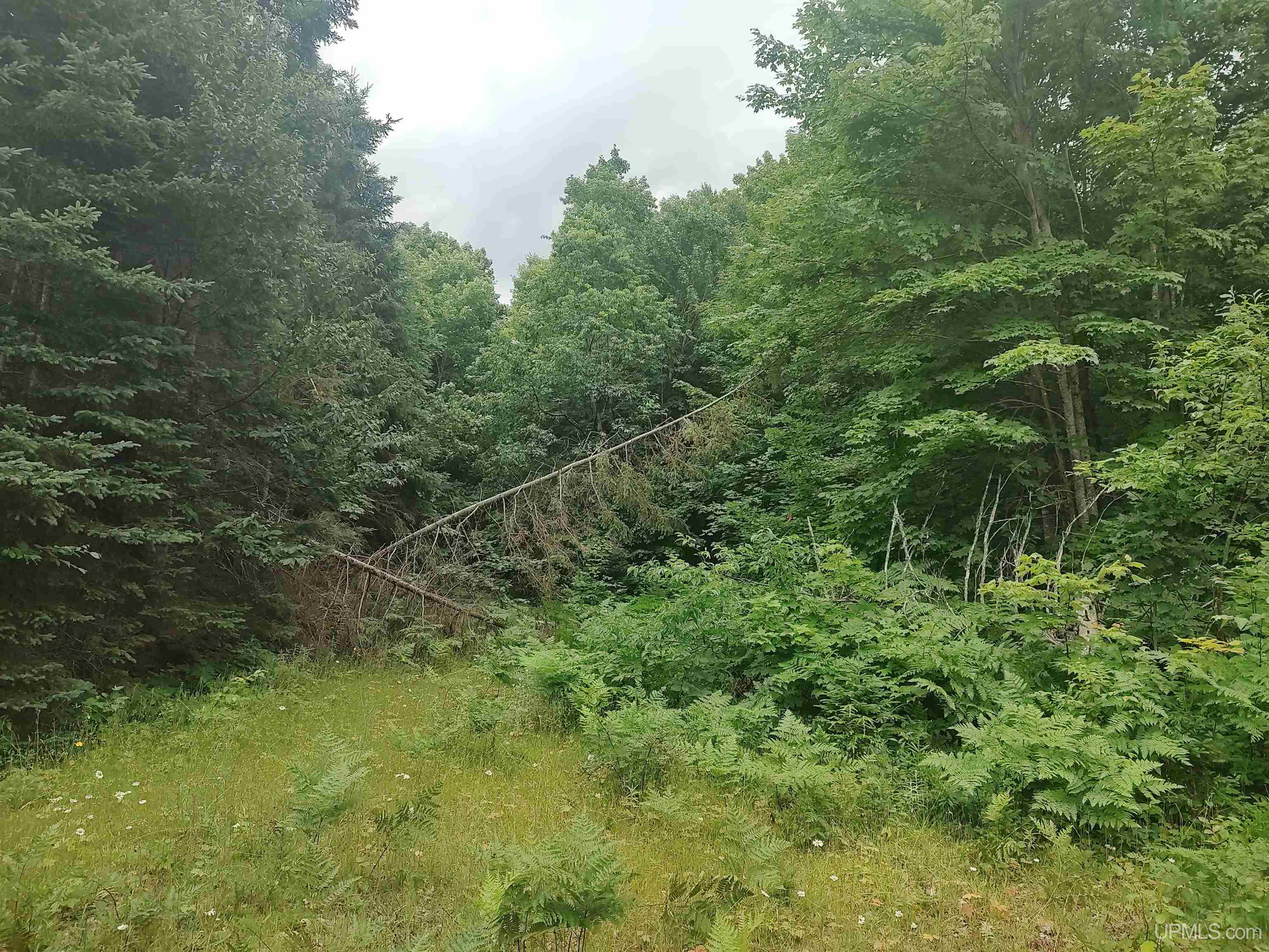60-acres Sleepy Hollow Road Ishpeming, MI 49849 - Photo 6 of 29