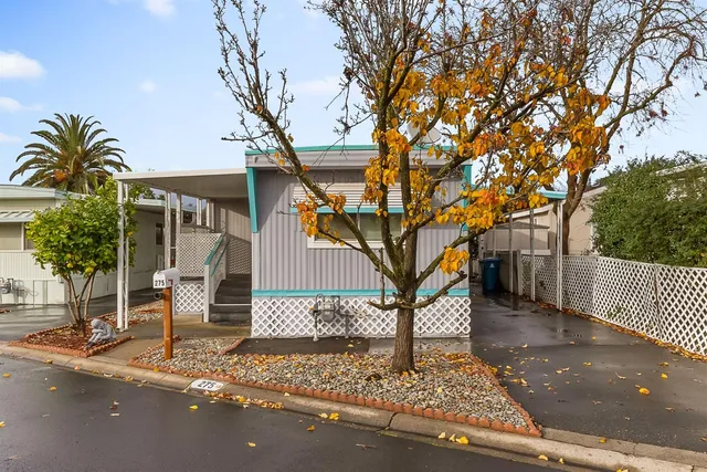 a tree in front of a white house