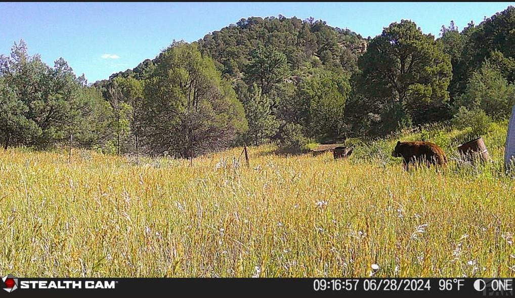 17001 Peacock Road Trinidad, CO 81082 - Photo 58 of 62