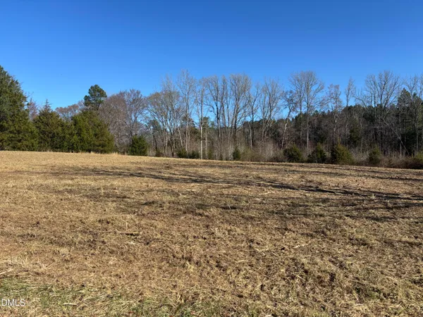 a view of a field with trees in the background