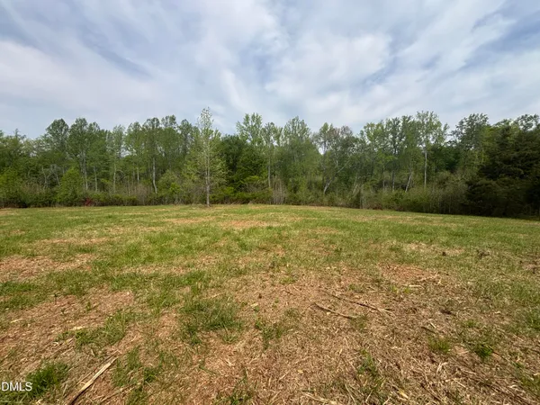 a view of a field with trees in the background