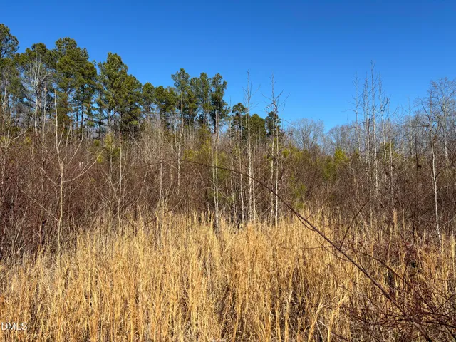 $99,000 | 6 Keeton Road, Bullock, NC 27507