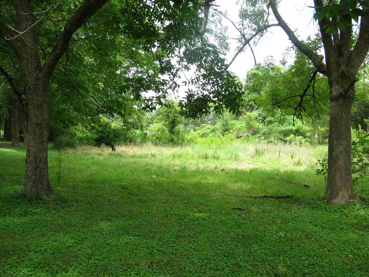 211 North Maple Street Adamsville, TN 38310 - Photo 2 of 13 Gallery Image 2