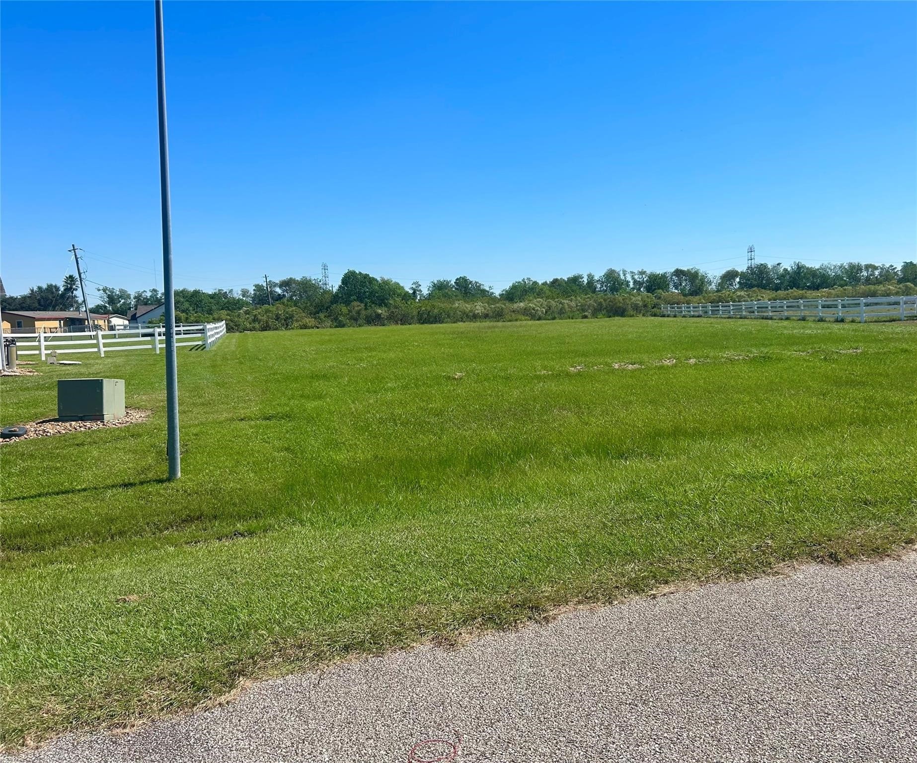 17327 Lake Ridge Circle Rosharon, TX 77583 - Photo 8 of 9 a view of a garden with a large tree