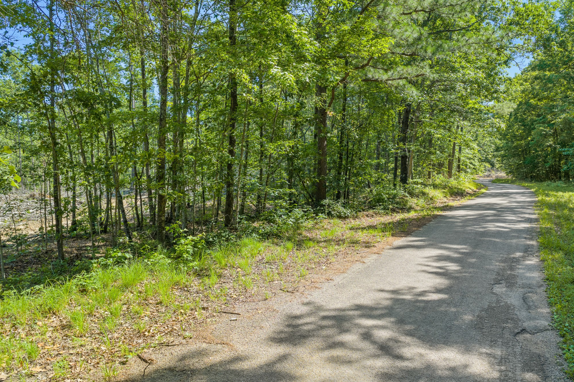 0 Green Hatley Branch Road Holladay, TN 38341 - Photo 17 of 18 Gallery Image 17