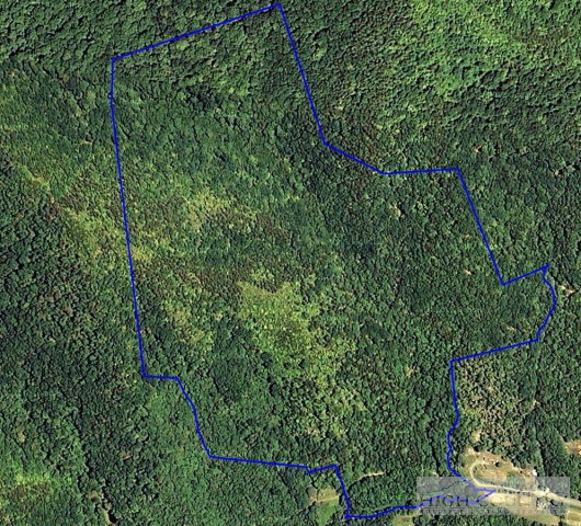 Carson Creek Road Lowgap, NC 27024 - Photo 1 of 1 an aerial view of a house with a yard