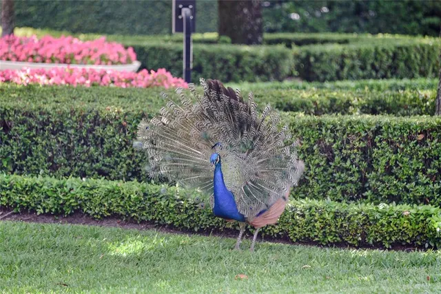 $8,500,000 | 1112 Preserve Point Drive, Winter Park, FL 32789