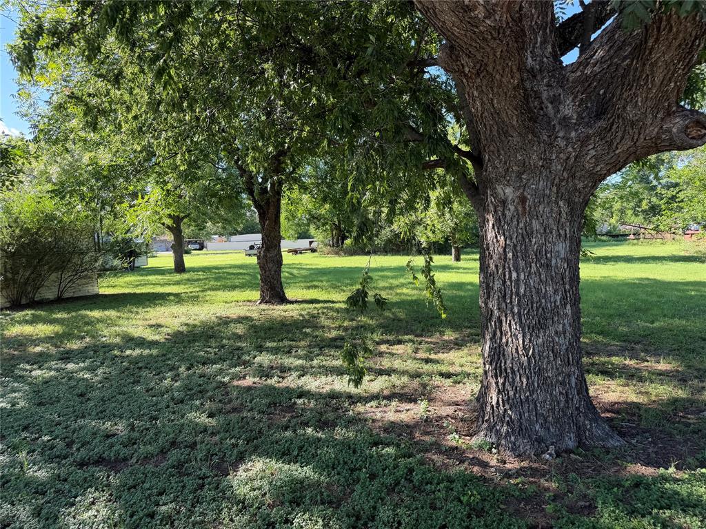 507 Park Street Rising Star, TX 76471 - Photo 1 of 3
