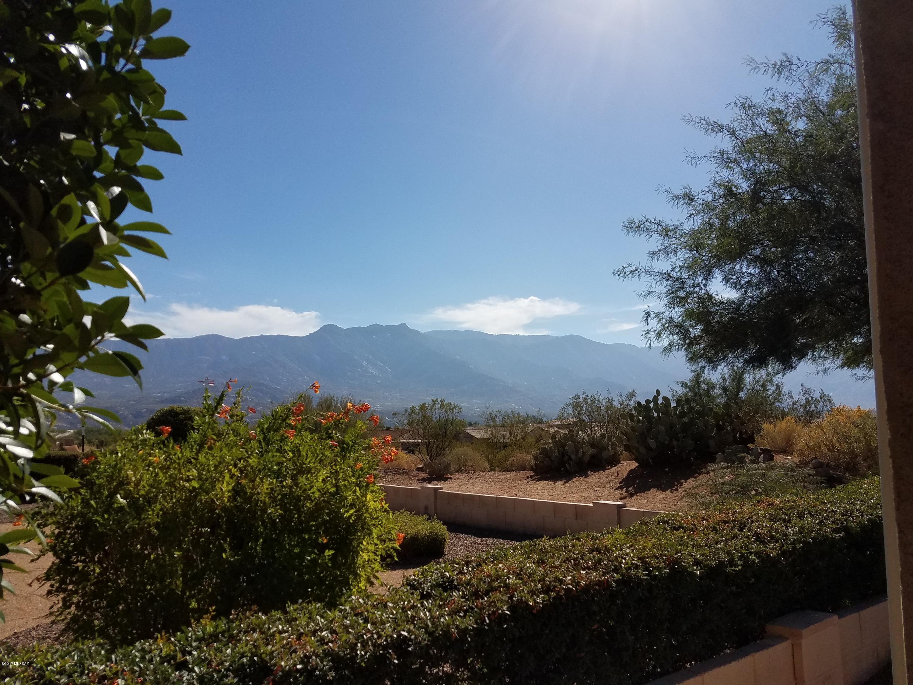 63153 East Flower Ridge Drive Tucson, AZ 85739 - Photo 43 of 43
