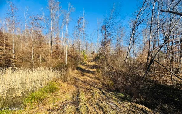 $265,000 | 253 Little Johnson Valley Road, Kingston, TN 37763