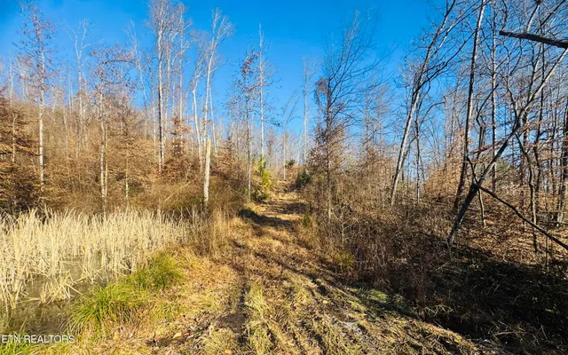 $270,000 | 253 Little Johnson Valley Road, Kingston, TN 37763