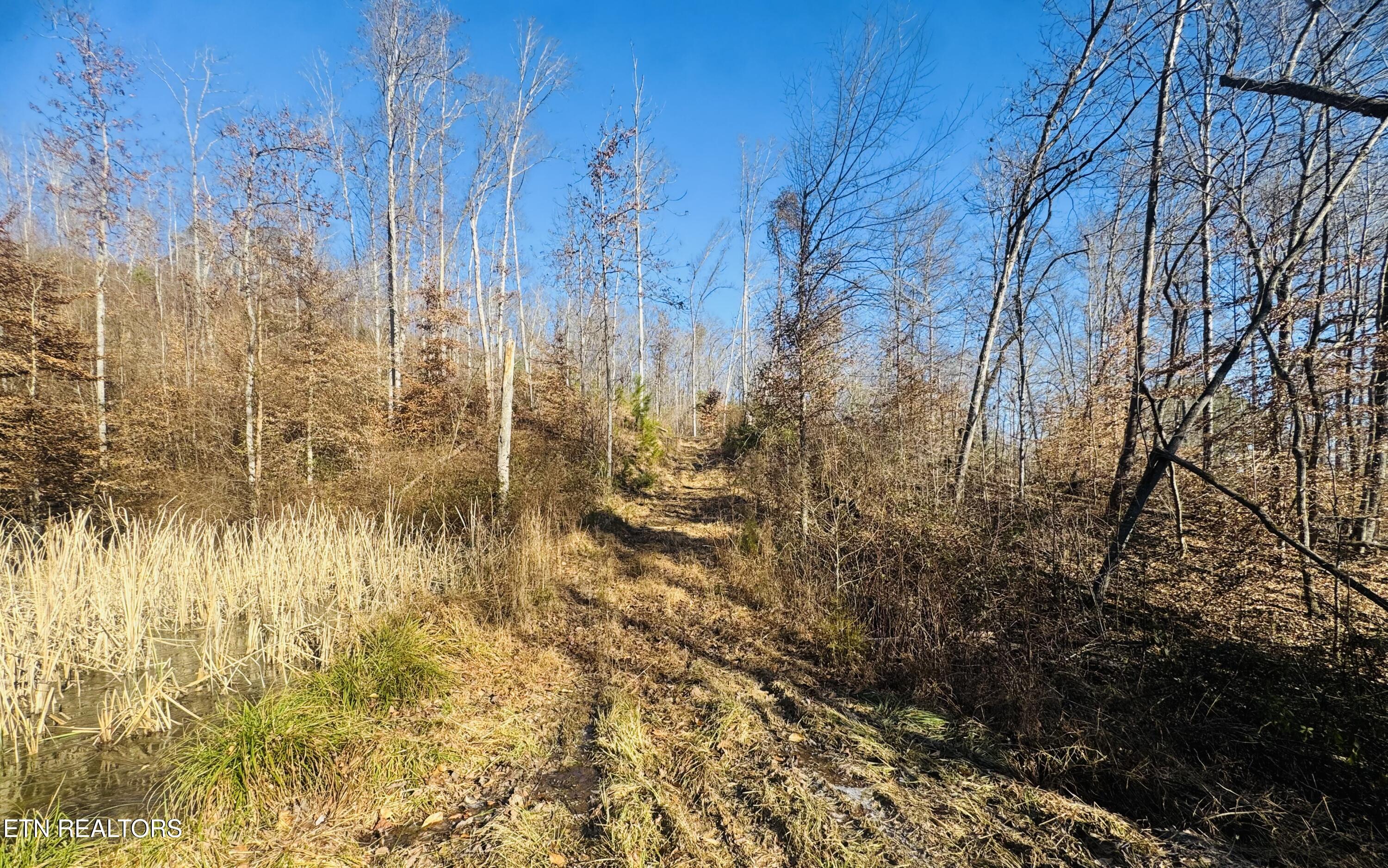 253 Little Johnson Valley Road Kingston, TN 37763 - Photo 13 of 16 image 12