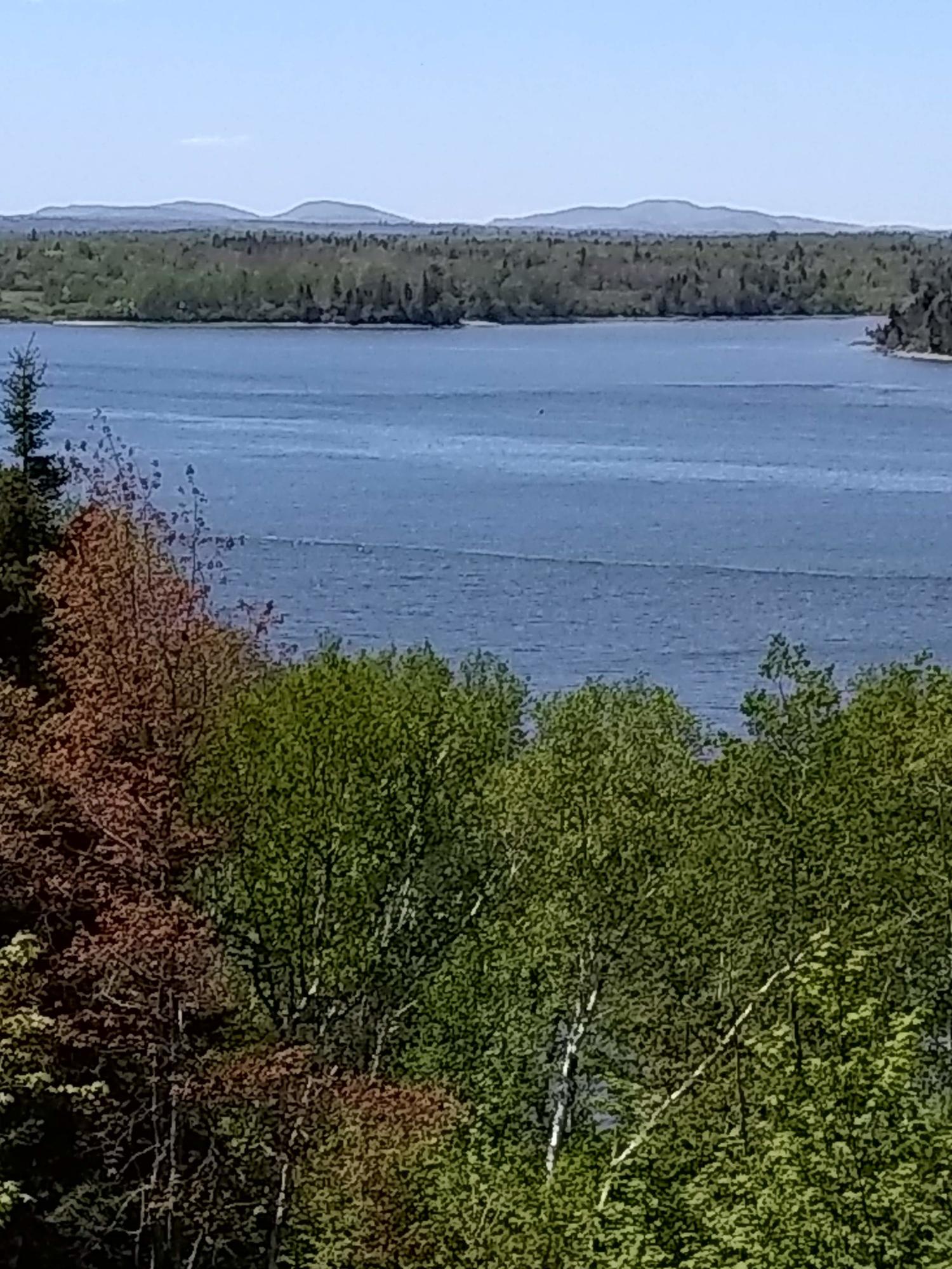 515 East Side Road Addison, ME 04606 - Photo 27 of 29 Mountains in Distance