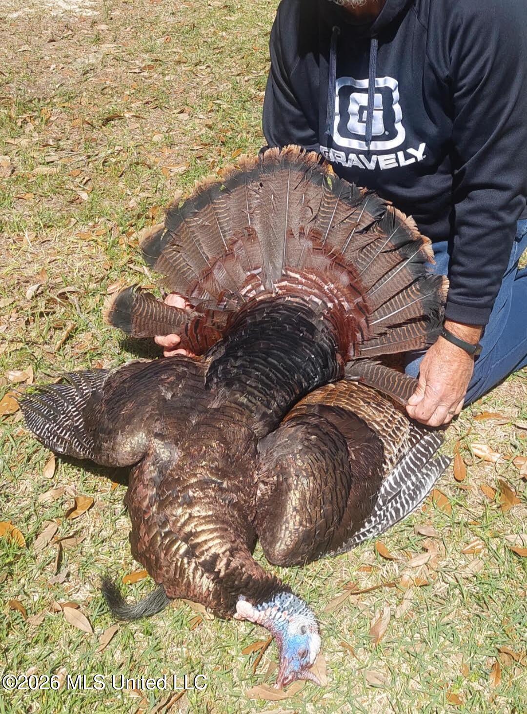 259 Forest Lake Road Beaumont, MS 39423 - Photo 27 of 32 turkey 3