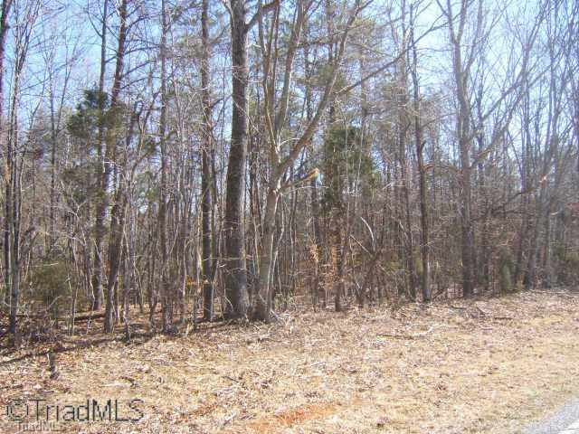 Lot 5 Merrells Lake Road Mocksville, NC 27028 - Photo 1 of 5 Exterior Front.
