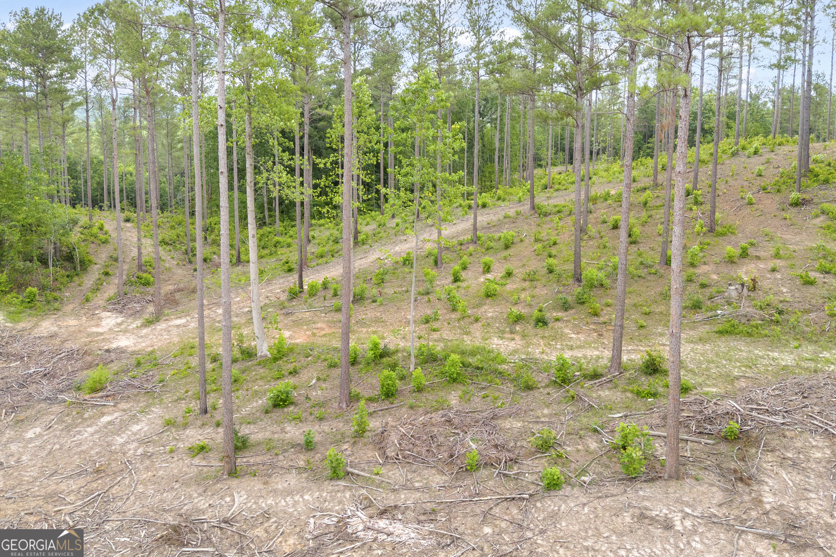 0 Mt Sinai Road, Unit LOT 1 Lula, GA 30554 - Photo 21 of 67
